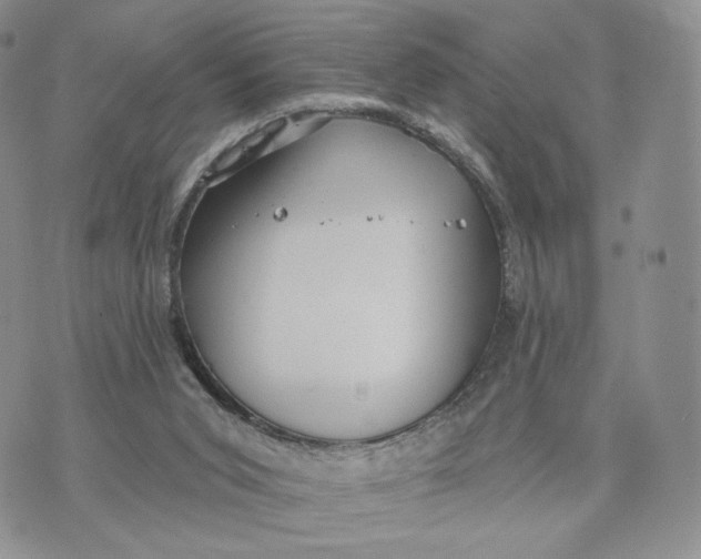 X0000070340015200606301752