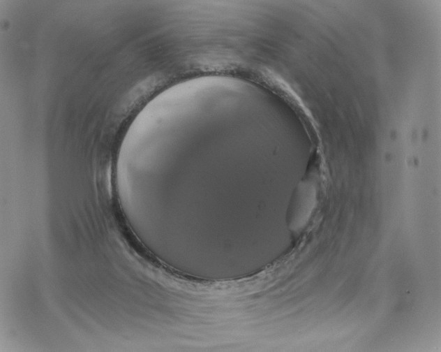 X0000070340019200606301752