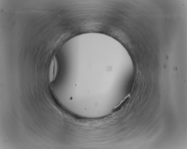 X0000070340021200606301752