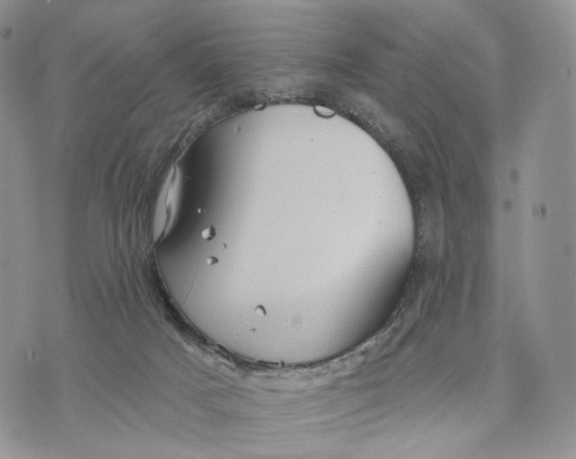 X0000070340025200606301752