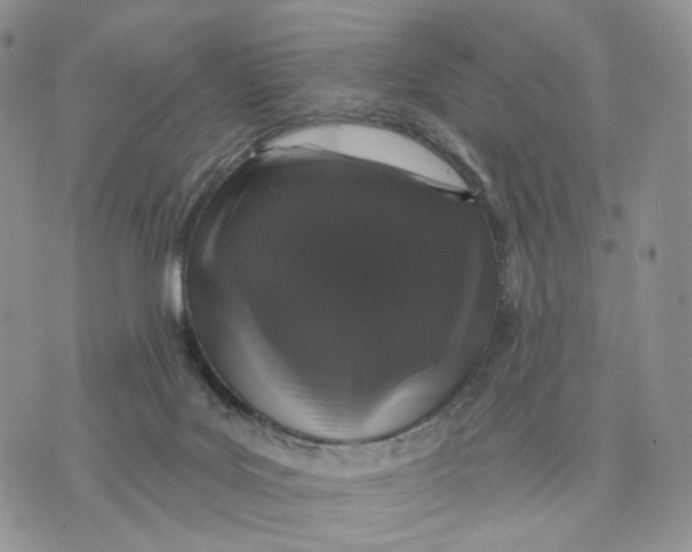 X0000070340027200606301752