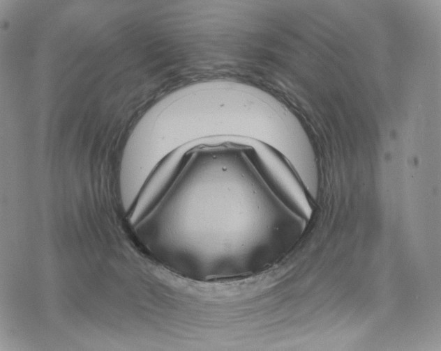 X0000070340030200606301752