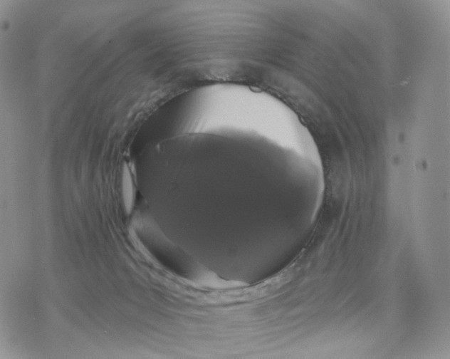 X0000070340031200606301752