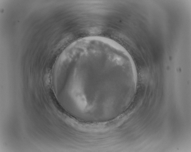 X0000070340032200606301752