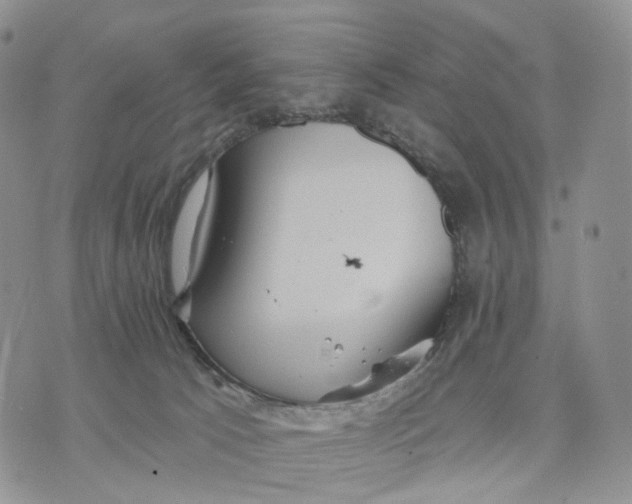 X0000070340033200606301752