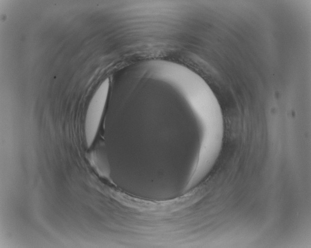 X0000070340035200606301752