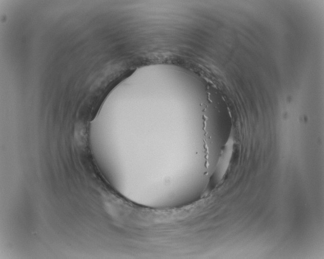 X0000070340037200606301752