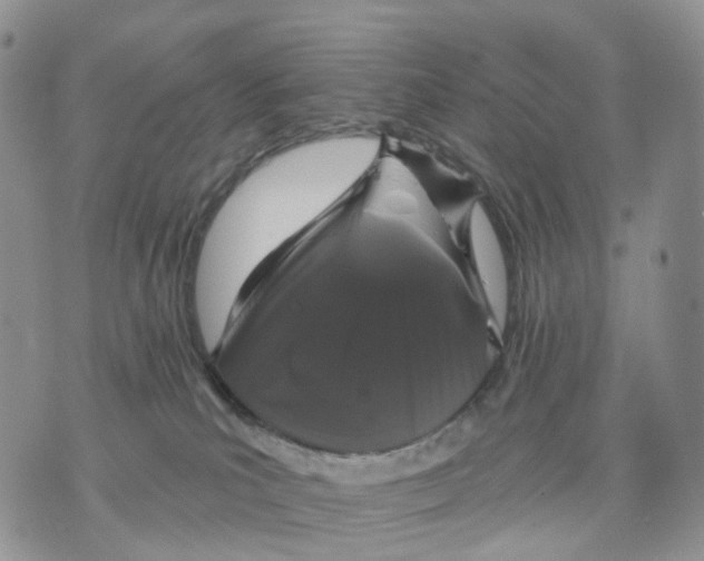 X0000070340039200606301752