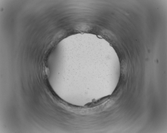 X0000070340040200606301752