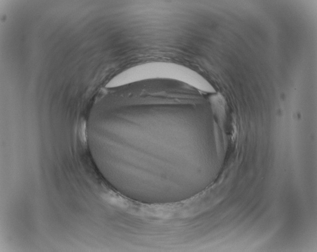 X0000070340041200606301752