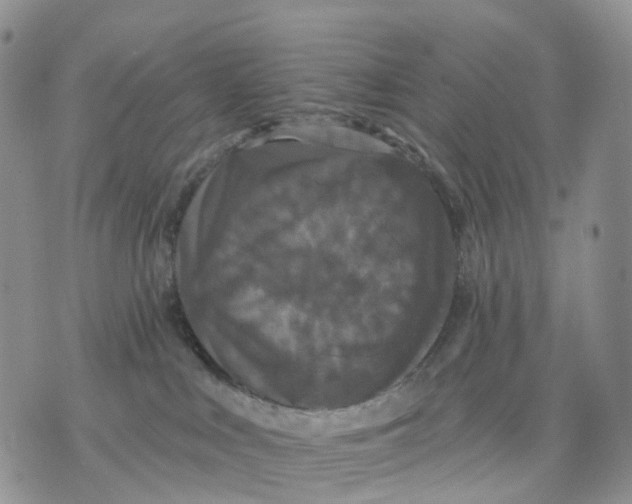 X0000070340043200606301752