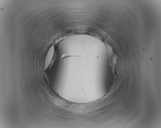 X0000070340045200606301751