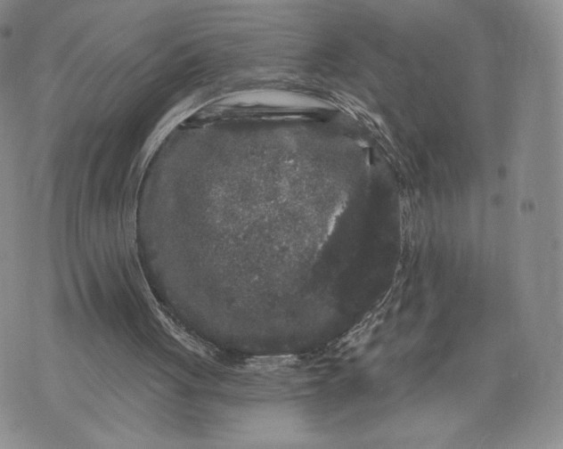 X0000070340051200606301751