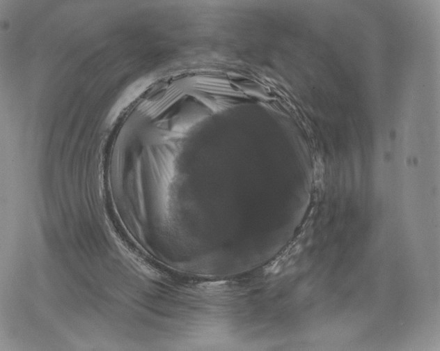 X0000070340054200606301751