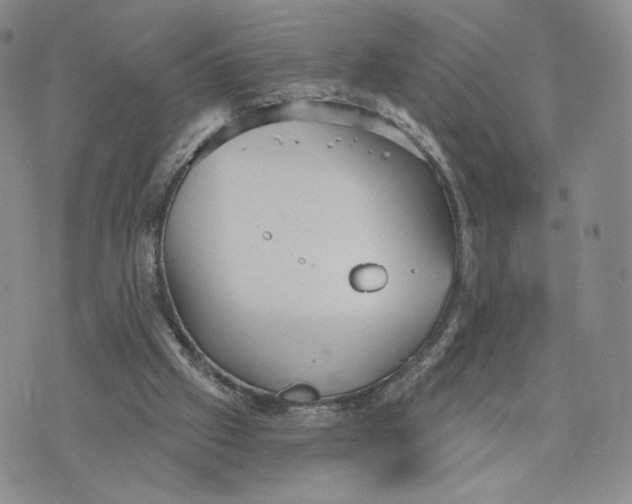 X0000070340057200606301751