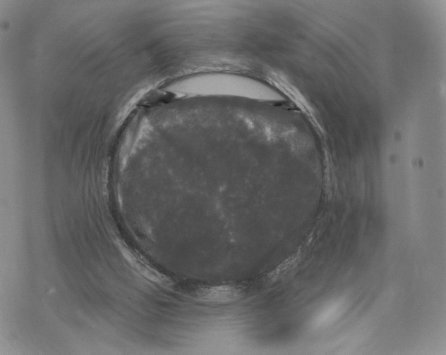 X0000070340058200606301751