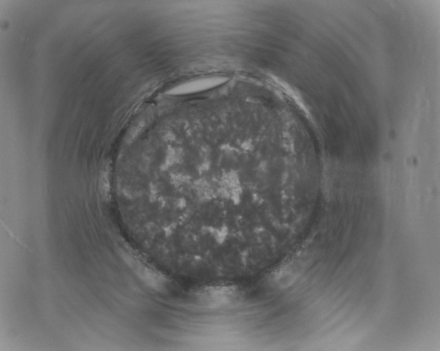 X0000070340065200606301751