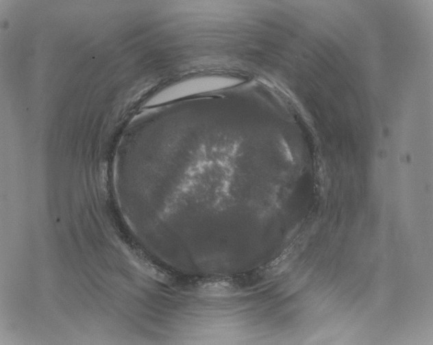 X0000070340066200606301751