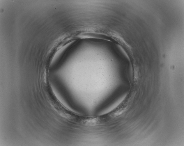 X0000070340068200606301751