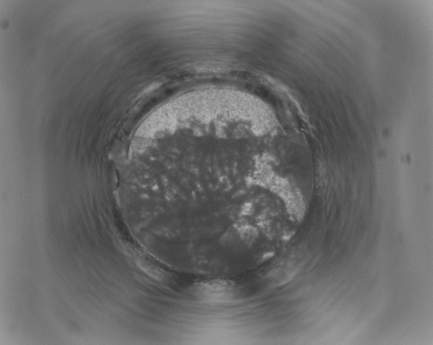 X0000070340069200606301751