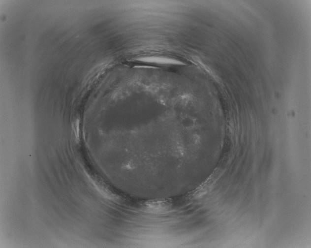 X0000070340070200606301751