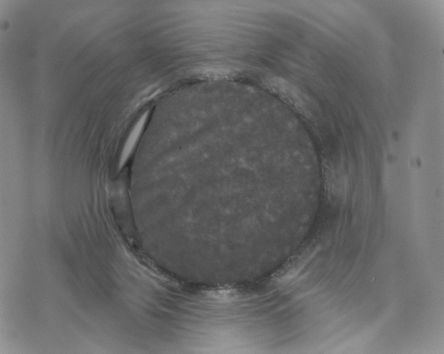 X0000070340071200606301751