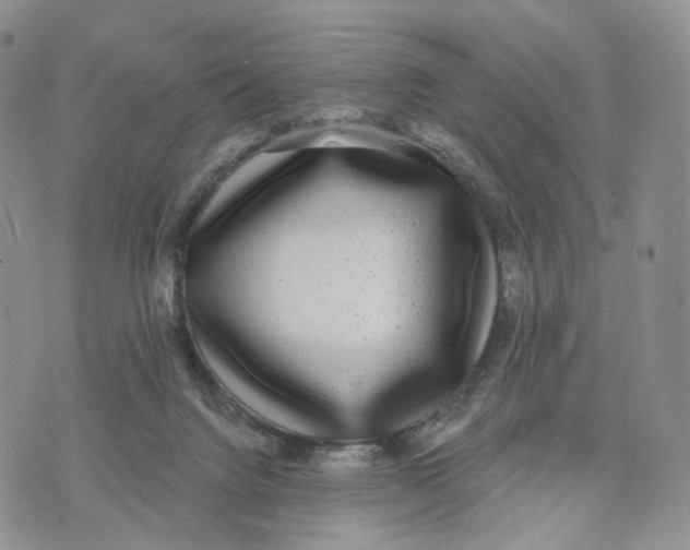 X0000070340072200606301751