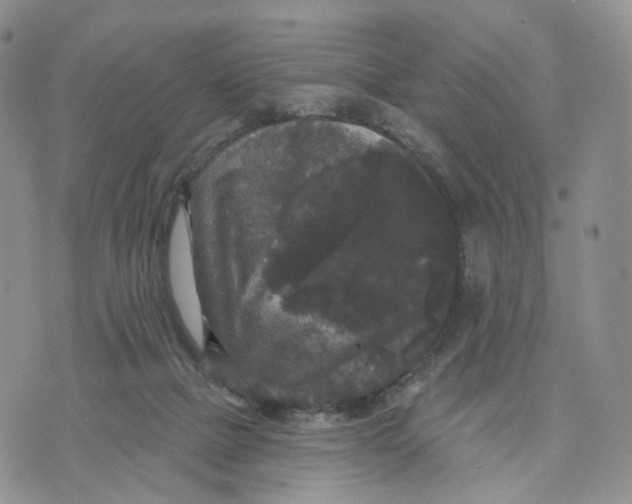 X0000070340073200606301751