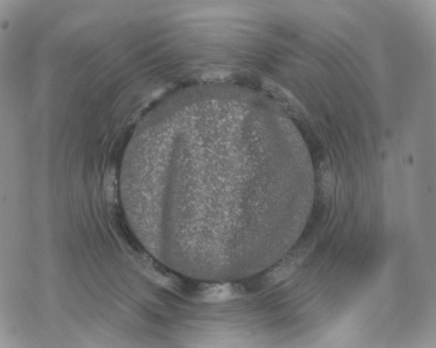 X0000070340083200606301751