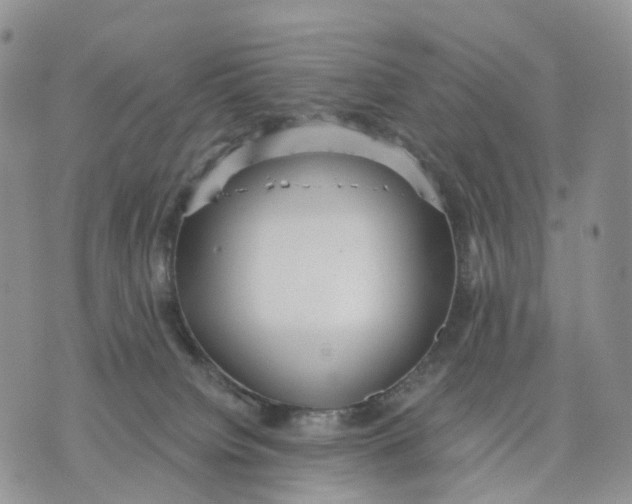 X0000070340084200606301751