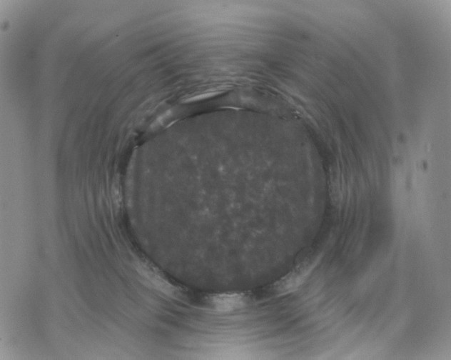 X0000070340085200606301751