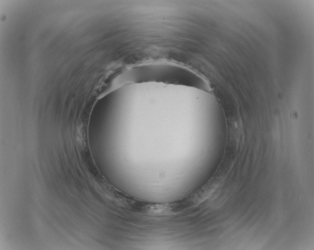 X0000070340088200606301751