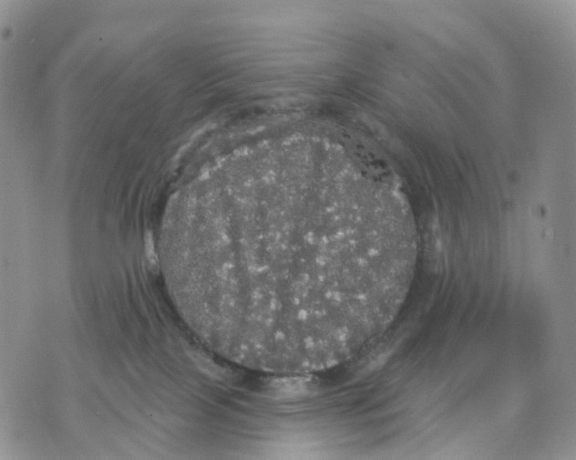 X0000070340089200606301751