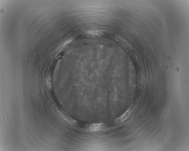 X0000070340090200606301751