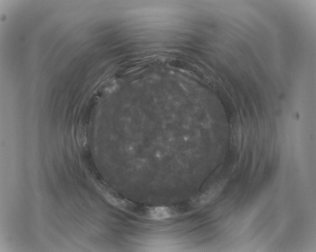 X0000070340091200606301751