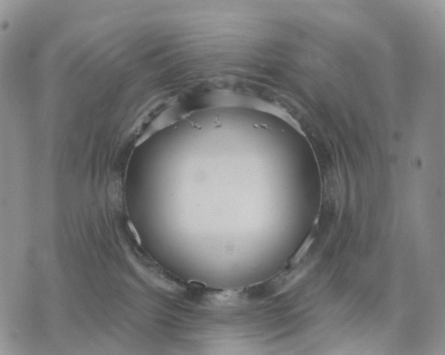 X0000070340092200606301751