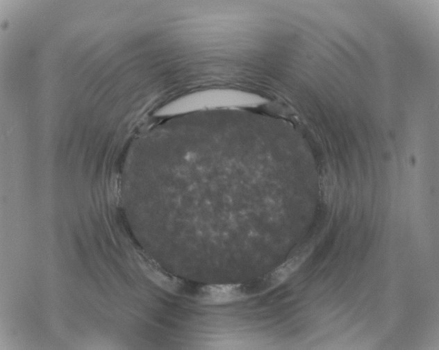 X0000070340093200606301751