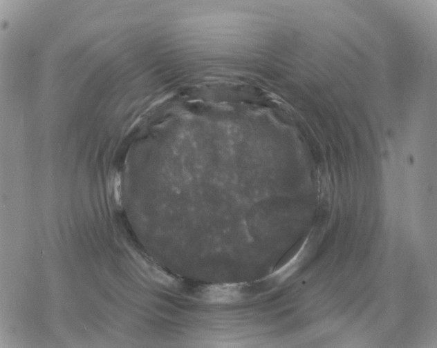 X0000070340094200606301751