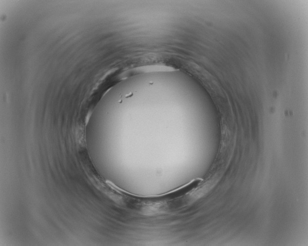 X0000070340096200606301751