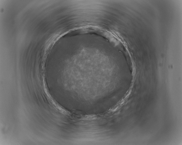 X0000070340097200606301751