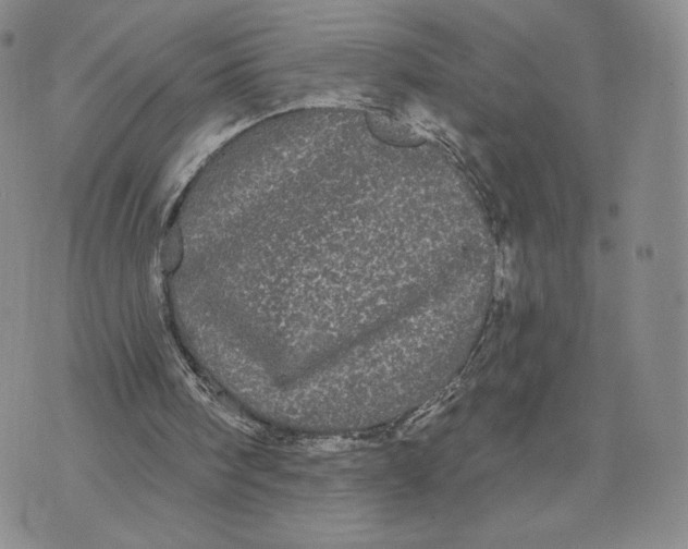 X0000070340098200606301751