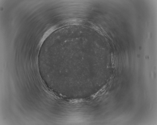 X0000070340099200606301751