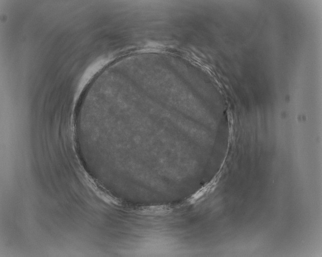 X0000070340102200606301751