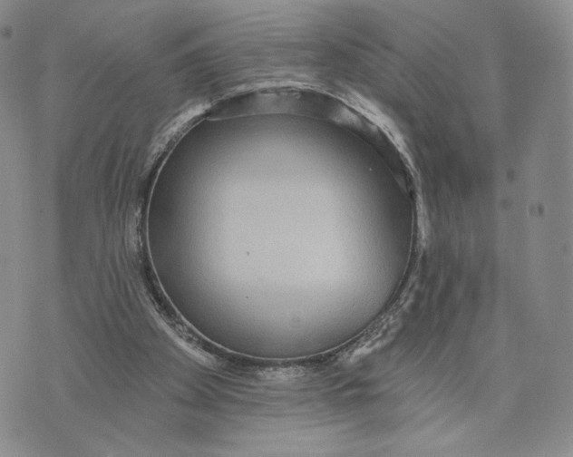 X0000070340105200606301751