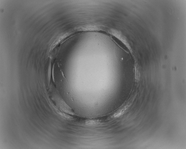 X0000070340109200606301750