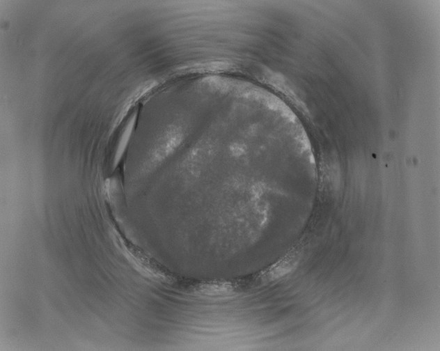 X0000070340110200606301750