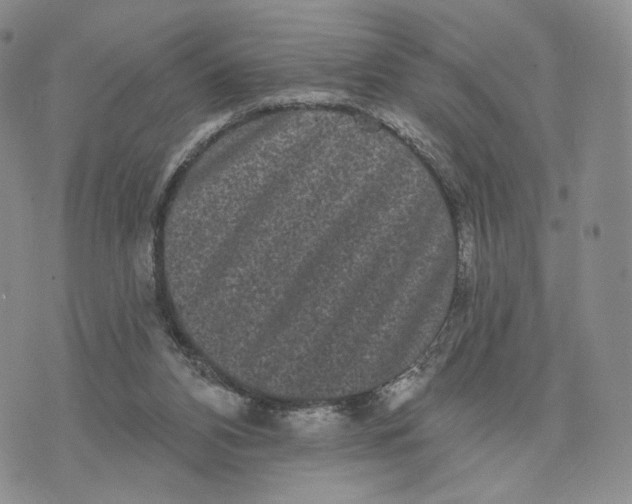 X0000070340112200606301750