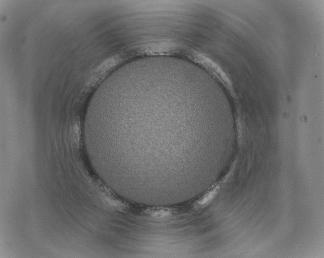 X0000070340113200606301750