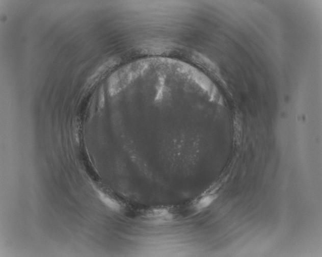 X0000070340114200606301750