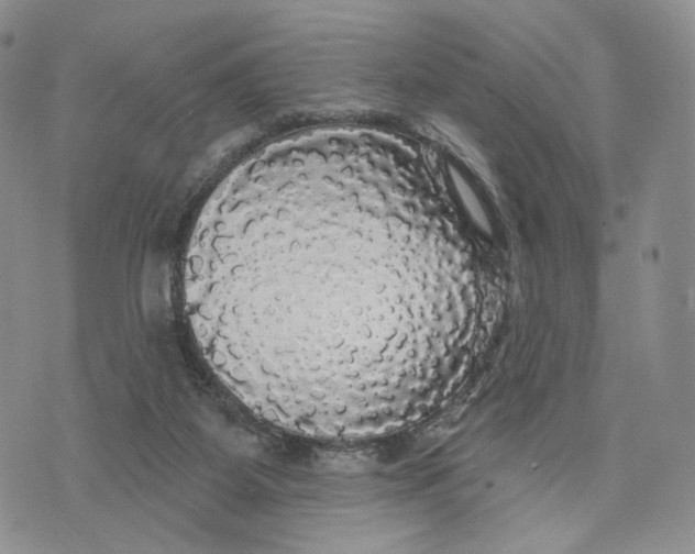 X0000070340115200606301750